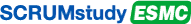 Expert Scrum Master Certified (ESMC™)
